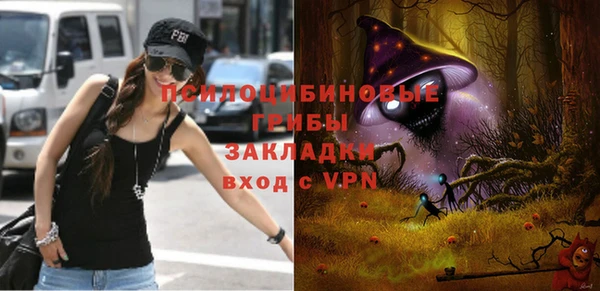 винт Богданович