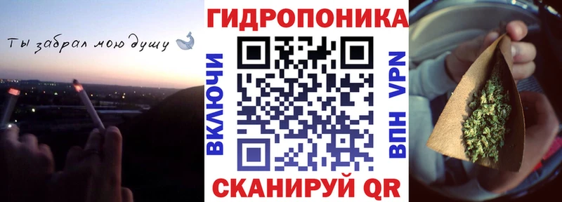 Шишки марихуана сатива  Светогорск 